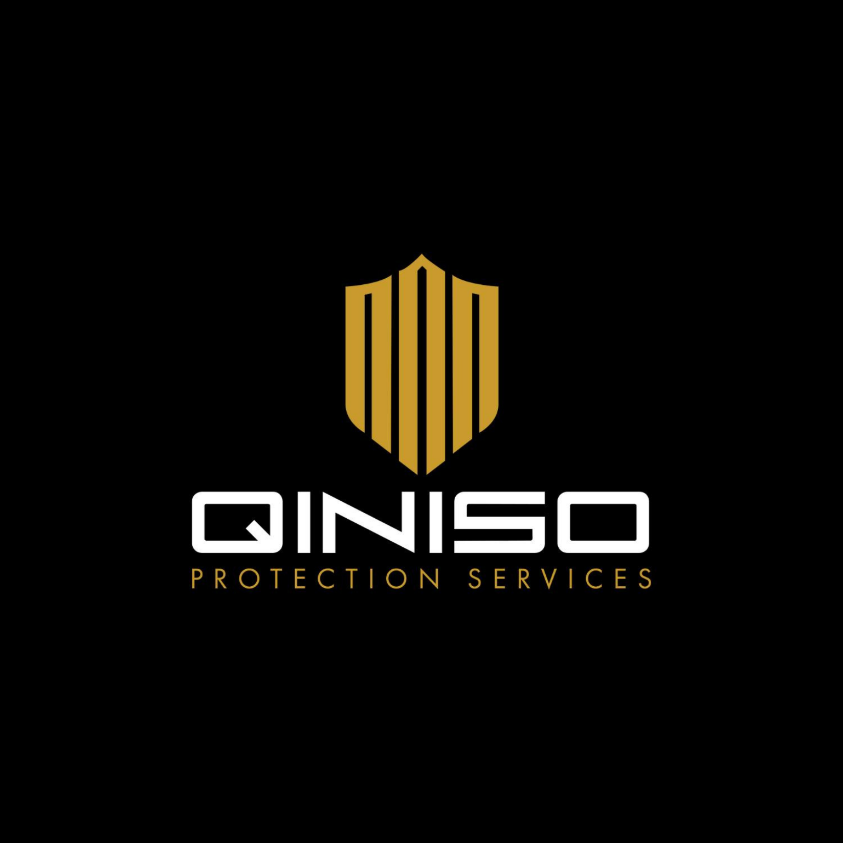 Qiniso Protection Services